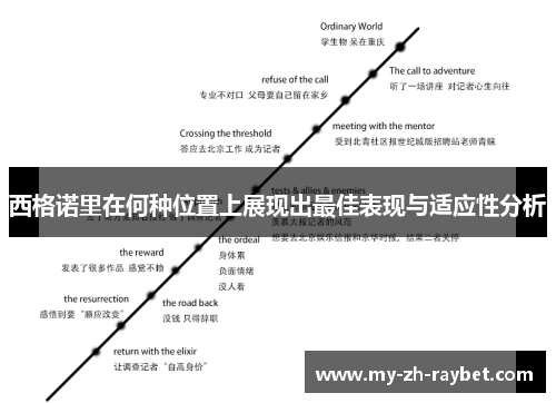 西格诺里在何种位置上展现出最佳表现与适应性分析
