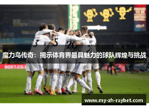 魔力鸟传奇：揭示体育界最具魅力的球队辉煌与挑战