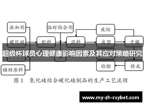 超级杯球员心理健康影响因素及其应对策略研究